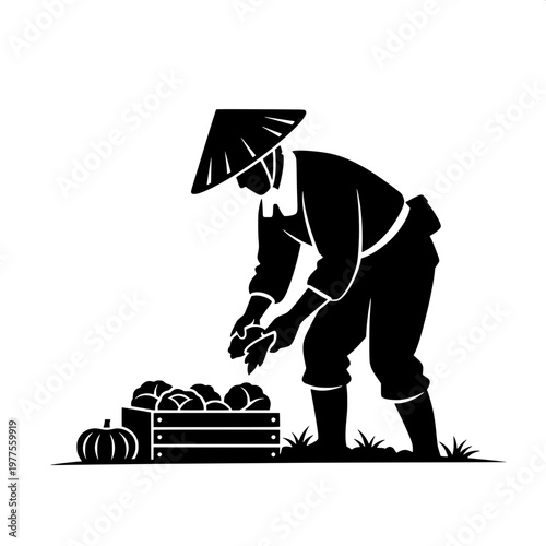 Farmer planting pumpkin seeds in traditional conical hat during harvest season