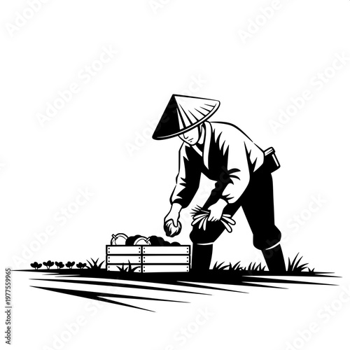 Farmer planting rice seedlings in traditional conical hat during daylight