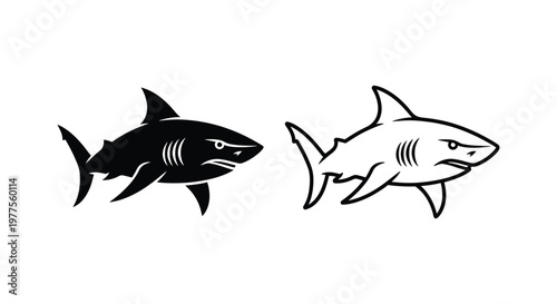 Great White Shark Vector Art Designs Vector