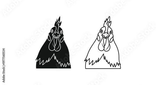 Chicken Breed Comparison Guide: Rooster vs Hen Visuals Vector