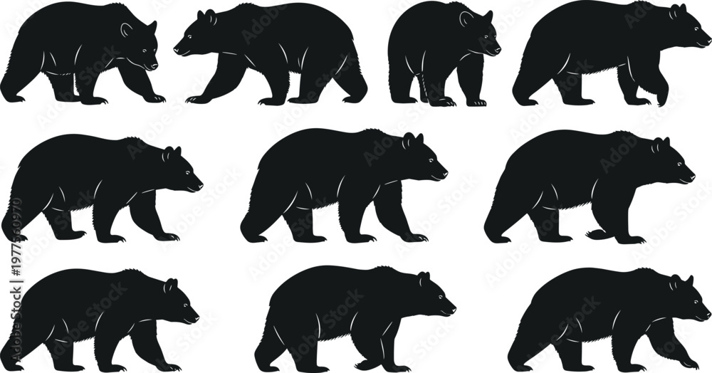 Fototapeta premium Bear Silhouette Set Featuring Walking Grizzly Bear Poses in Side View Minimal Wildlife Animal Vector Collection for Design Use.