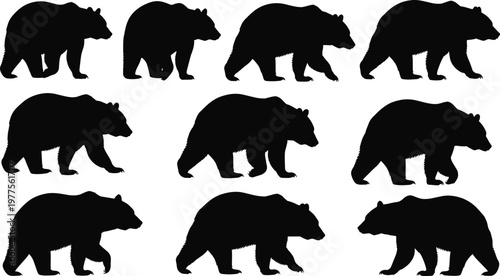 Black Bear Silhouette Collection Featuring Walking Grizzly Bear Poses Isolated on White Background Wildlife Animal Vector Set for Design Use.