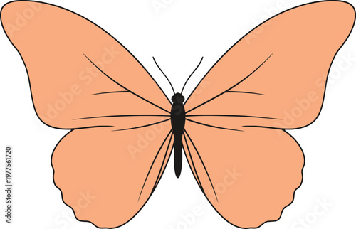 A beautiful monarch butterfly vector illustration with colorful orange and black wings isolated on a white background captures the nature of this lepidoptera insect in a macro wildlife pattern