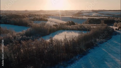 Aerial Landscape of Dry Forest with Sand Covered Ground and Environmental Change Concept