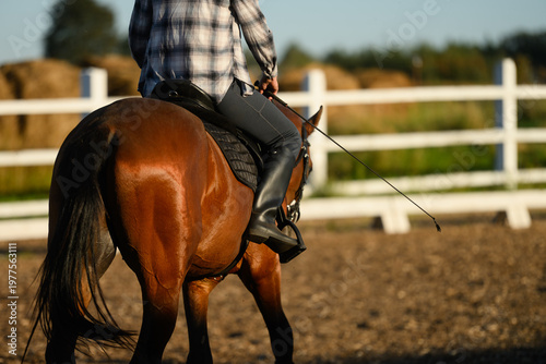 Female rider training bay horse in outdoor arena at sunset, equestrian sport and leisure concept, back view of horse riding with whip, golden hour rural lifestyle, animal training