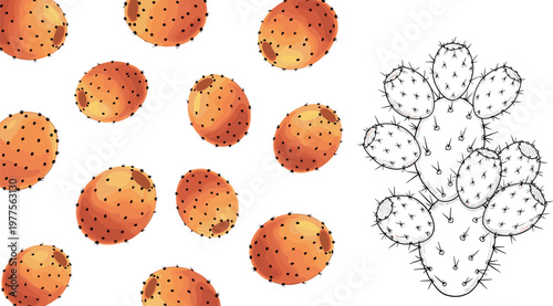 Prickly pear cactus fruit seamless pattern vector illustration with spiny pears and botanical outline plant elements isolated on white