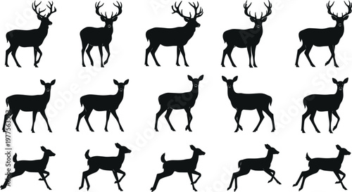 Deer Silhouette Collection Featuring Stag and Doe Running Walking and Standing Poses with Antlers Wildlife Animal Vector Set for Design.
