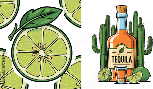 Tequila bottle with lime slices and cactus vector illustration with citrus pattern background Mexican drink concept isolated