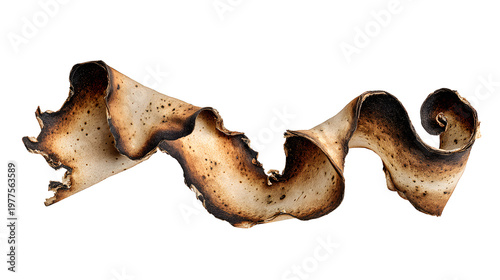 Ultra realistic HD burnt paper edges curled antique effect, isolated on white background