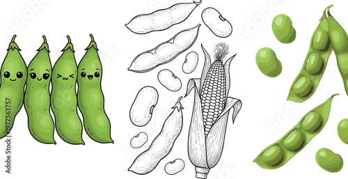 Pea pods and beans vector illustration set with cute cartoon peas corn botanical sketch and green legume elements isolated
