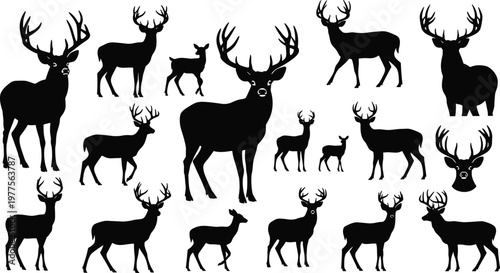 Deer Silhouette Collection Featuring Stag Buck and Fawn with Antlers in Various Sizes and Poses Wildlife Animal Vector Set for Design.
