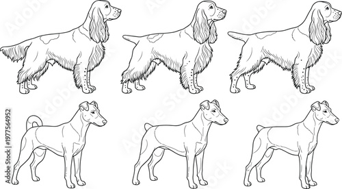 Dog Line Art Illustration Set Featuring Different Domestic Breeds in Standing Side View Poses Detailed Canine Outline Vector Collection.
