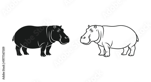 Hippopotamus Types: Black vs White Hippo Vector