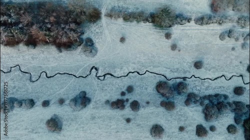 Aerial Landscape of Dry Forest with Sand Covered Ground and Environmental Change Concept