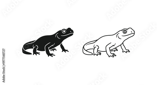 BlackAndWhiteFrogComparisonVisualGuide Vector