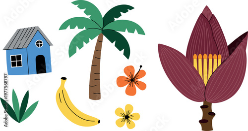 Tropical summer vector set with banana palm tree house flowers and exotic elements flat cartoon style illustration collection