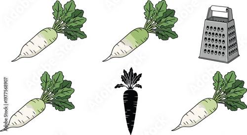 Radish vegetable vector illustration set featuring daikon roots grater tool and silhouette icon with fresh organic produce isolated on white