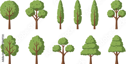 Tree vector set different kinds of trees flat collection isolated on white background