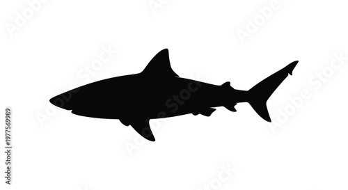 A striking black shark form is presented in a dramatic silhouette