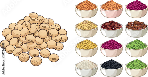 Soybeans and assorted legumes vector illustration set featuring colorful pulses in bowls with organic plant based protein food isolated