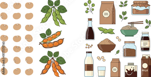 Soybean products vector illustration set featuring soy beans pods sauce tofu milk and plant based food elements isolated on white background