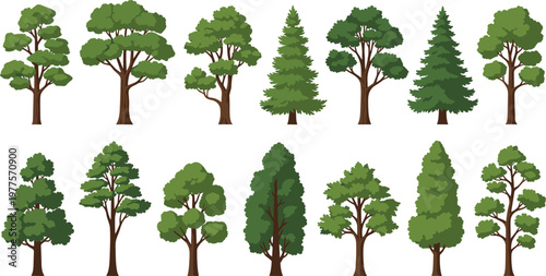 Diverse tree species vector pack forest and ornamental plants collection isolated on white