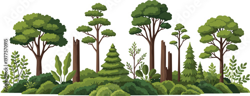 Diverse tree species vector pack forest and ornamental plants collection isolated on white