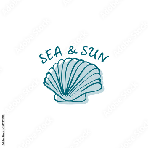 Seashell hand drawn vector illustrations. Seashell vector logo