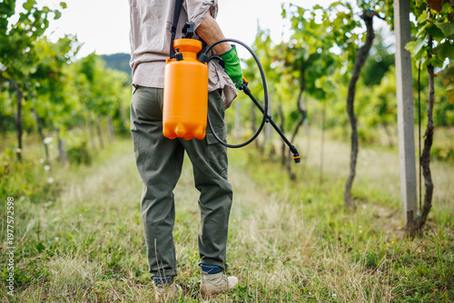 Foto Farmer with manual pump sprayer on shoulder in vineyard