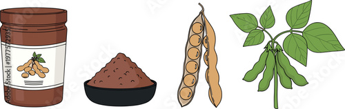 Soybean and Soy Products Collection Featuring Soy Sauce, Soybean Pods, Soy Flour, and Fresh Soy Plants for Organic Food, Agriculture, and Culinary Illustrations