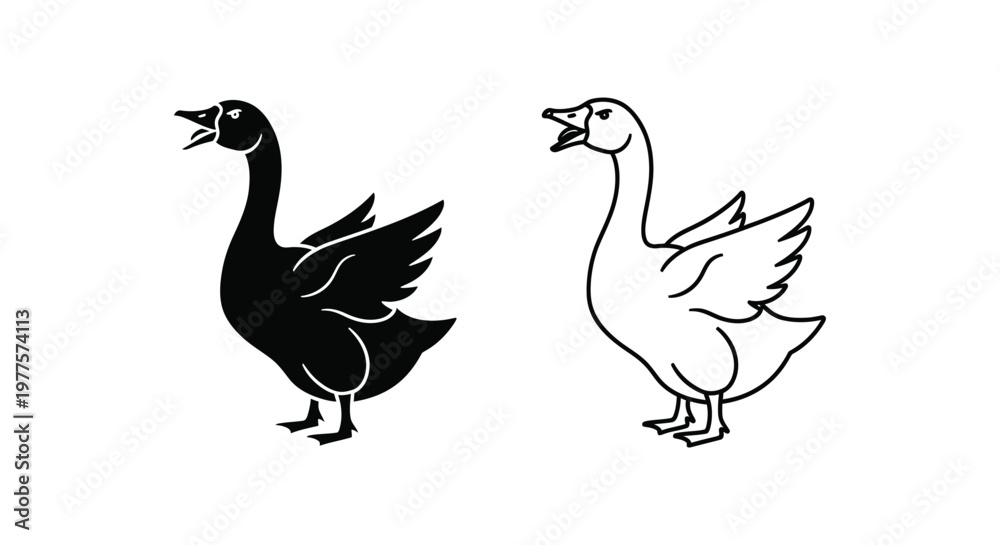 Fototapeta premium Black and White Geese Pair Illustration Design Vector