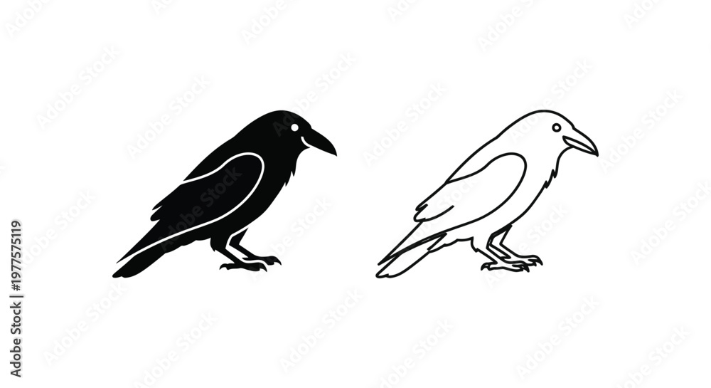 Fototapeta premium BlackAndWhiteCrowIllustrationForDesigners Vector