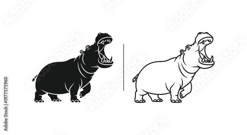 Hippopotamus Comparison: Black vs White Vector