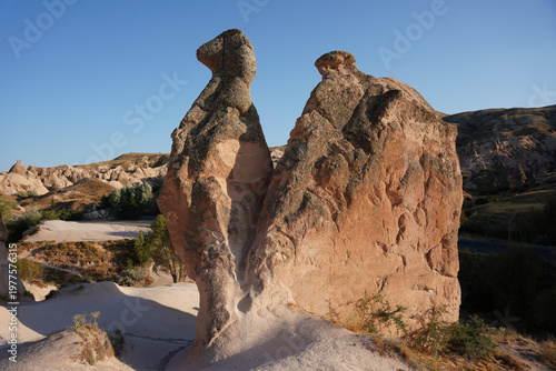Cuadro en lienzo Camel Shaped Rock Formation in Devrent Valley, Cappadocia, Nevsehir, Turkiye
