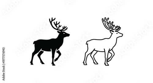 Deer Antlers Comparison Guide: Male vs Female Deer Silhouettes Vector