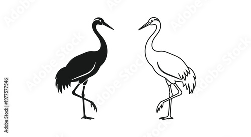 Black and White Crane Bird Illustrations - Unique Silhouettes Vector