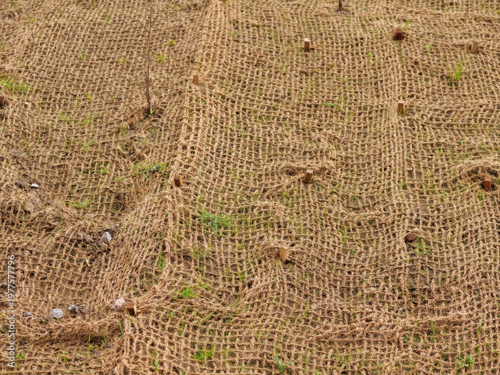 Ταπετσαρία Medium shot of a sloped embankment covered with brown coir netting for
erosion control