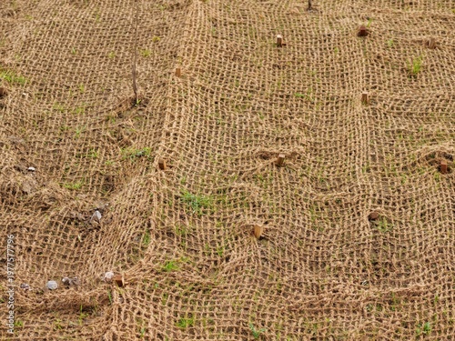 Foto Medium shot of a sloped embankment covered with brown coir netting for
erosion control