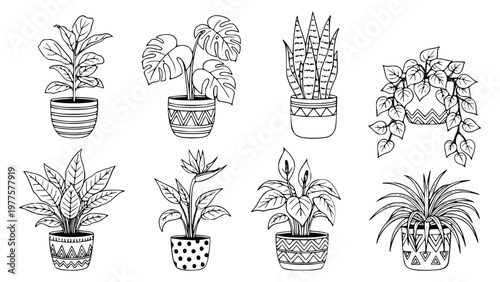 Indoor plants set for landscape architecture apps featuring various potted plants