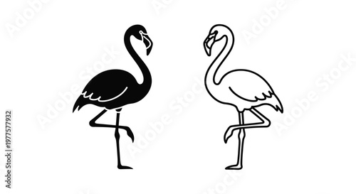 Black and White Flamingo Vector Art Design Vector