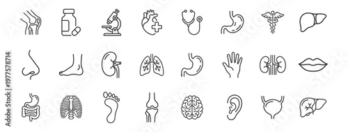 medical organs and anatomy line icons set with kidney, heart, brain, lungs, liver, stomach, bones, foot, ear, nose, hand, pills, microscope on transparent background