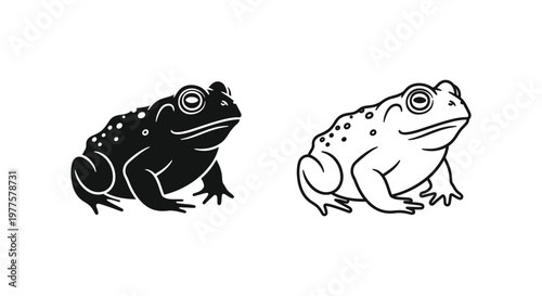 Black Spotted Toad Frog Illustration Design Vector