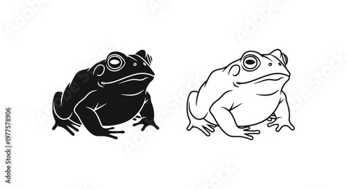 Cartoon Toad Frog Illustrations for Designers Vector