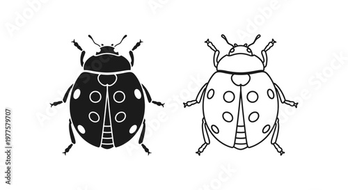 Ladybugs Identification Guide: Spotted vs Polka Dot Beetles Vector