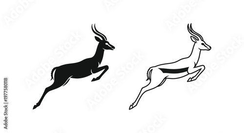 Springbok Antelope Graceful Leap Art Design Vector