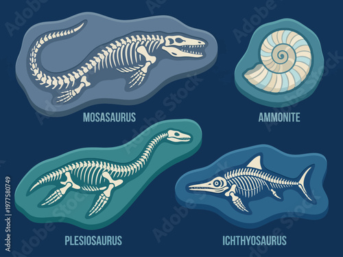 A vibrant illustration featuring the fossils of ancient marine creatures, like Mosasaurus and Ammonite, showcasing the wonders of paleontology and the history of life in the ocean.