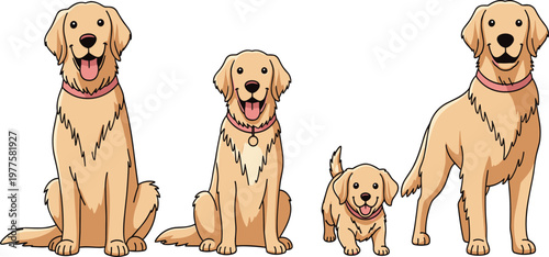 Golden Retriever Dog Family Illustration Featuring Adult Dogs and Cute Puppy in Sitting and Standing Poses Friendly Domestic Pet Vector Set.