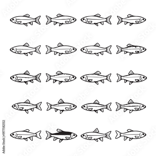 Small Schooling Fish in Linear Pattern Minimalist Line Art Isolated on White Background Nature Wildlife