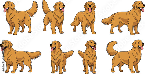 Golden Retriever Dog Illustration Set Featuring Standing Happy Pet Poses with Wagging Tail Friendly Domestic Canine Animal Vector Collection.