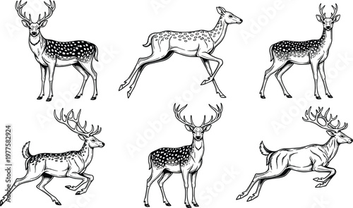 Foto Hand Drawn Deer Collection Set Featuring Running and Standing Wild Animals with Detailed Antlers Vintage Style Nature Wildlife Illustration Pack